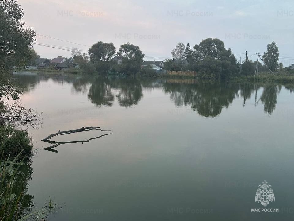 Происшествие на водном объекте в Дятьковском районе